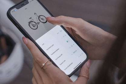 X2 Step-thru Commuter Ebike
