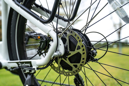 X2 Step-thru Commuter Ebike